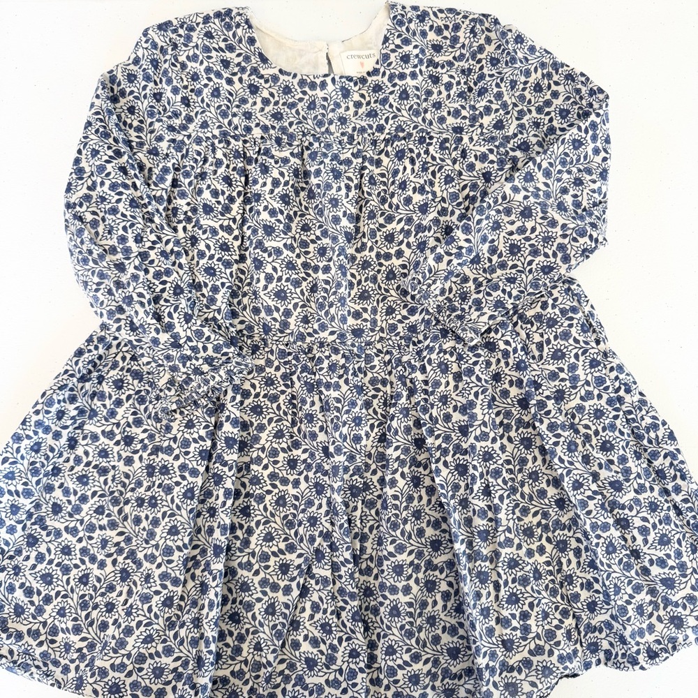 J Crew Crewcuts Floral Blue and White Dress Size 4